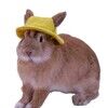 kittydivapop